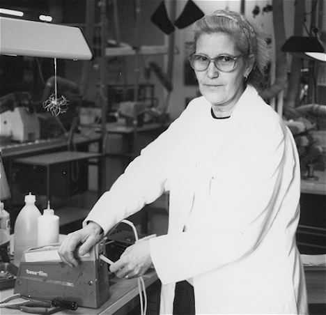 130: Maria Bernardo, Kretskortsmonteringen