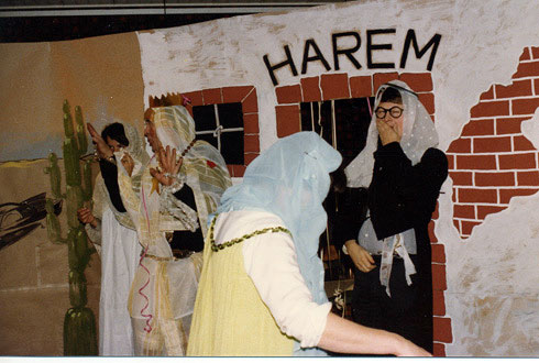 HL7: Haremet g�r sig klara f�r att ta emot Sheiken (Herman, ?, Per N�slund) :: The harem preparing to receive the Sheik (Herman, ?, Per N�slund)
